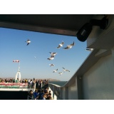 Погулять - 24.jpg Погулять - 24.jpg